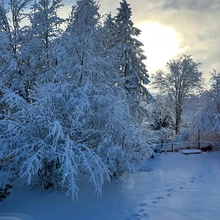 Hoher Weg קלאוסטל-צלרפלד